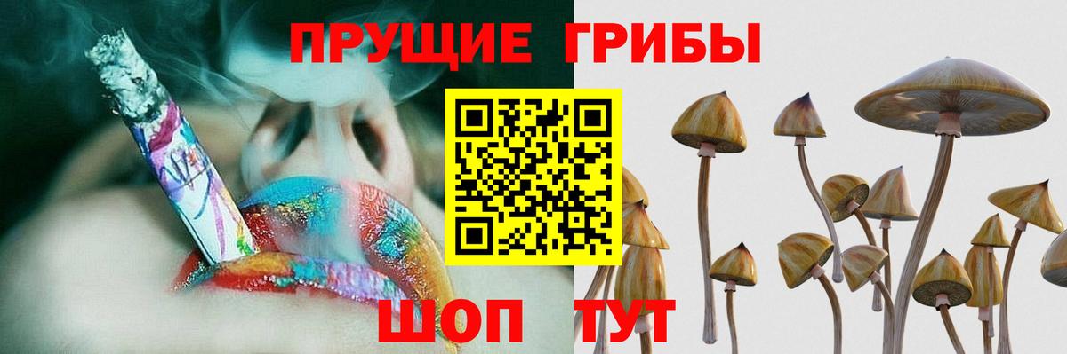 Семилуки  Псилоцибиновые грибы мухоморы  Вход с VPN  Псилоцибиновые грибы Psilocybine cubensis 